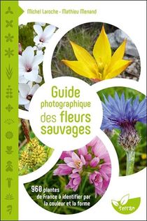 Guide Photographique Des Fleurs Sauvages ; 960 Plantes De France A Identifier Par La Couleur Et La Forme 