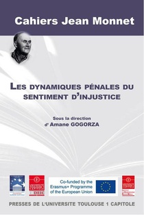 Les Dynamiques Penales Du Sentiment D'injustice T.13 