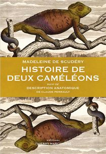 Histoire De Deux Cameleons 