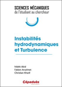 Instabilites Hydrodynamiques Et Turbulence 