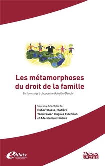 Les Metamorphoses Du Droit De La Famille : En Hommage A Jacqueline Rubellin-devichi 