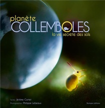 Planetes Collemboles ; La Vie Secrete Des Sols 