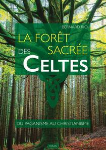 La Foret Sacree Des Celtes : Du Paganisme Au Christianisme 
