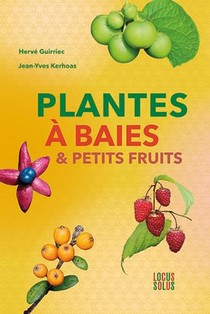 Plantes A Baies & Petits Fruits 