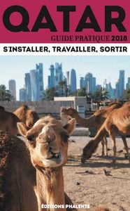 Guide Pratique Du Qatar 2018 : S'installer, Travailler, Sortir 