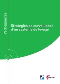 Strategies De Surveillance D'un Systeme De Levage 