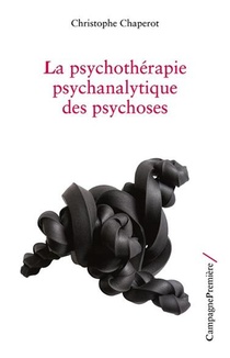 La Psychotherapie Psychanalytique Des Psychoses 