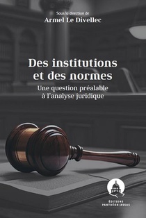 Des Institutions Et Des Normes : A Propos D'une Question Prealable A L'analyse Juridique 