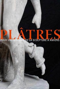 Platres, Pour Une Histoire De La Sculpture A Amiens 