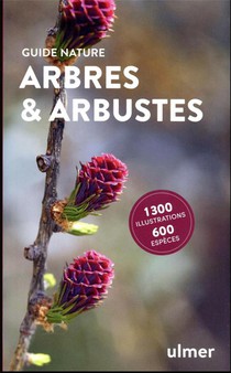 Arbres Et Arbustes 