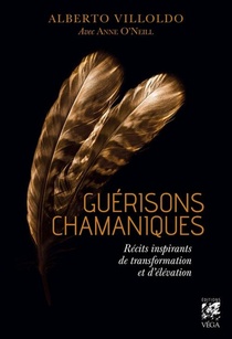 Guerisons Chamaniques : Recits Inspirants De Transformation Et D'elevation 