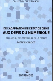 De L'adaptation De L'etat De Droit Aux Defis Du Numerique : Analyse Du Cas Particulier De La France 