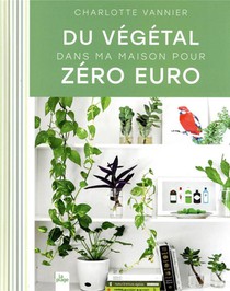 Du Vegetal Dans Ma Maison Pour Zero Euro 
