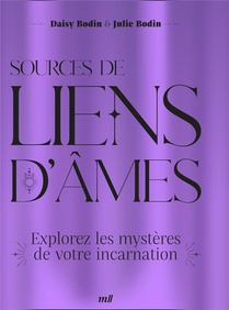 Sources De Liens D'ames : Explorez Les Mysteres De Votre Incarnation 