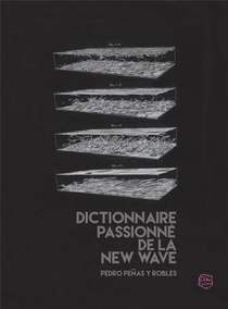 Dictionnaire Passionne De La New Wave 