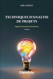 Techniques D'analyse De Projets : Ingenierie Du Plan De Deroulement (3e Edition) 