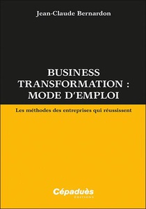 Business Transformation?: Mode D'emploi : Les Methodes Des Entreprises Qui Reussissent 