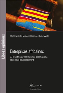 Entreprises Africaines : 20 Projets Pour Sortir Du Neo-colonialisme Et Du Sous-developpement 