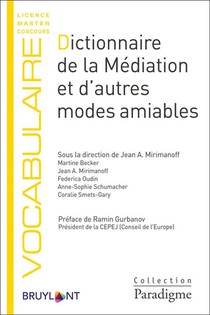 Dictionnaire De La Mediation Et D'autres Modes Amiables 
