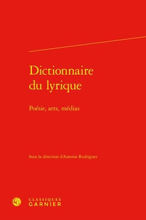 Dictionnaire Du Lyrique : Poesie, Arts, Medias 