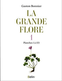 La Grande Flore En Couleurs Tome 1 : Planches 1 A 373 