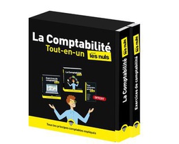 La Comptabilite Tout-en-un Pour Les Nuls (2e Edition) 