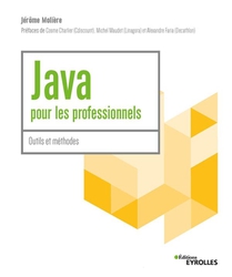 Java Pour Les Professionnels : Outils Et Methodes 