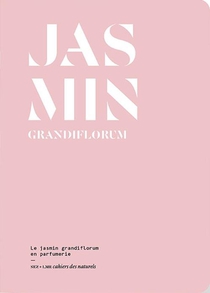 Le Jasmin Grandiflorum En Parfumerie 