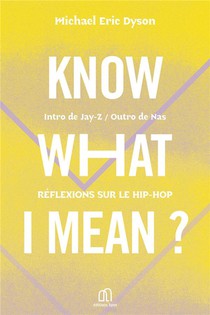 Know What I Mean ? Reflexions Sur Le Hip-hop 
