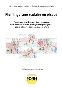 Plurilinguisme Scolaire En Alsace : Pratiques Plurilingues Dans Les Ecoles Elementaires Abcm-zweisprachigkeit Tome 1 : Cadre General 