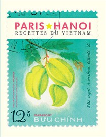 Paris-hanoi ; Recettes Du Vietnam 