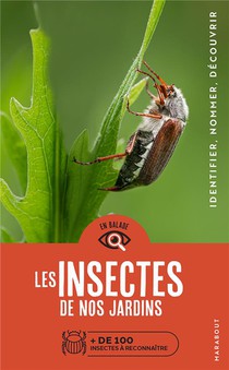 En Balade : Les Insectes De Nos Jardins 