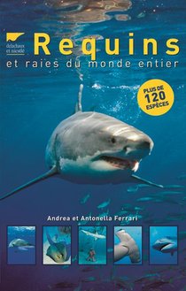 Requins Et Raies Du Monde Entier 