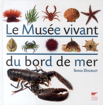 Le Musee Vivant Du Bord De Mer 