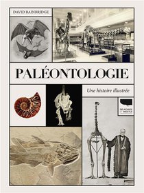 Paleontologie : Une Histoire Illustree 