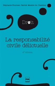 La Responsabilite Civile Delictuelle (4e Edition) 