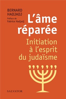 L'ame Reparee ; Initiation A L'esprit Du Judaisme 