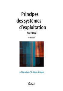 Principes Des Systemes D'exploitation (6e Edition) 