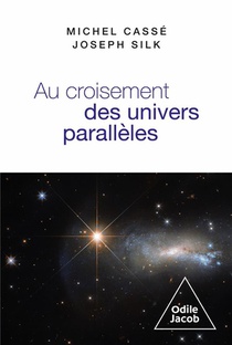 Au Croisement Des Univers Paralleles : Cosmologie Et Metacosmologie 