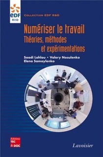 Numeriser Le Travail ; Theories, Methodes Et Experimentations 