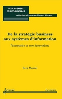 De La Strategie Business Aux Systemes D'information : L'entreprise Et Son Ecosysteme 