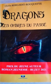 Dragons: Les Ombres Du Passe 