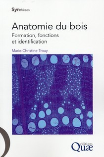 Anatomie Du Bois ; Formation, Fonctions Et Identification 