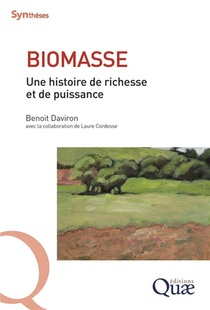 Biomasse ; Une Histoire De Richesse Et De Puissance 