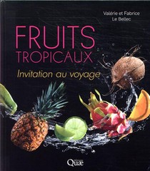 Fruits Tropicaux ; Invitation Au Voyage 