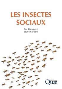 Les Insectes Sociaux 