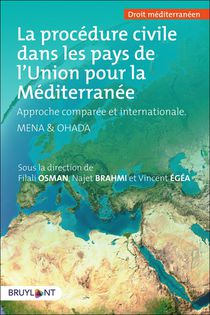La Procedure Civile Dans Les Pays De L'union Pour La Mediterranee ; Approche Comparee Et Internationale 