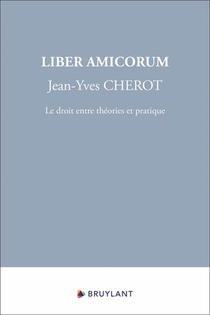 Liber Amicorum Jean-yves Cherot : Le Droit Entre Theories Et Pratique 