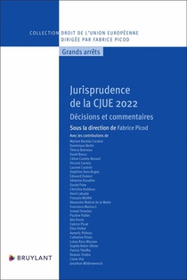 Jurisprudence De La Cjue 2022 : Decisions Et Commentaires 