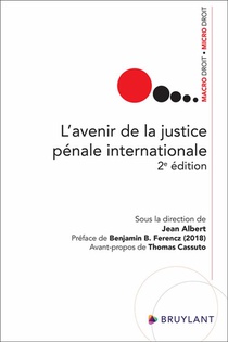L'avenir De La Justice Penale Internationale (2e Edition) 